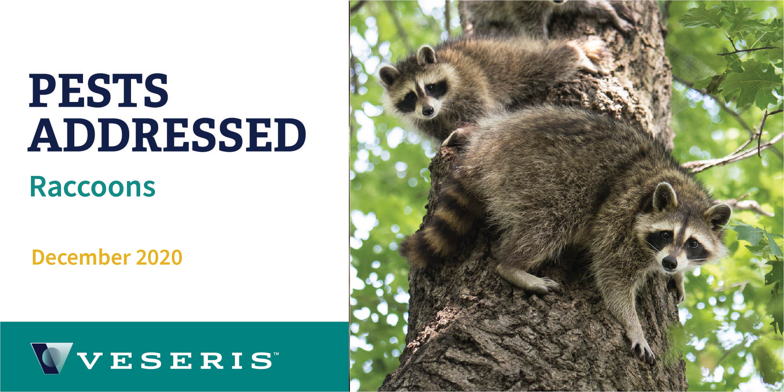 Professional Pest Control Products & Info from Veseris