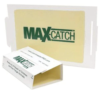 CATCHMASTER GLUE BOARD MOUSE MAX CATCH UNSCENTED 72/CS 72MAXUS